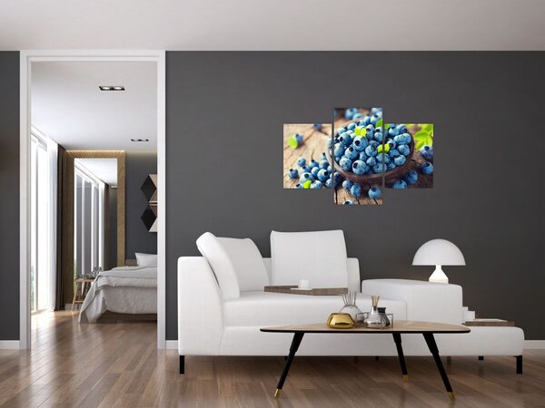 Obraz - Čučoriedky (90x60 cm)