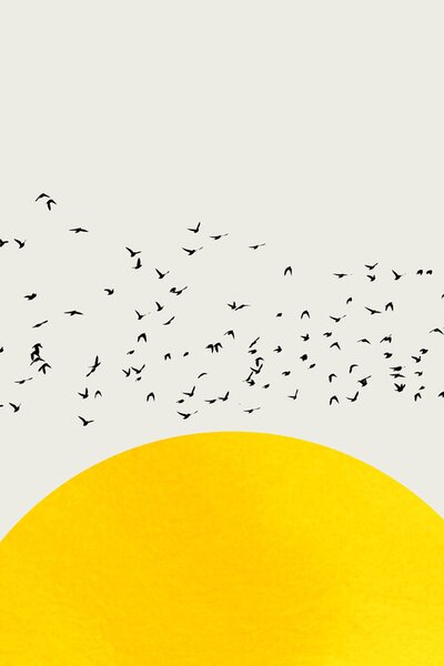 Ilustrácia A Thousand Birds, Kubistika