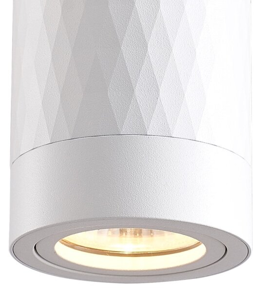 Bodové svietidlo BIMA 1xGU10/25W/230V okrúhly biela