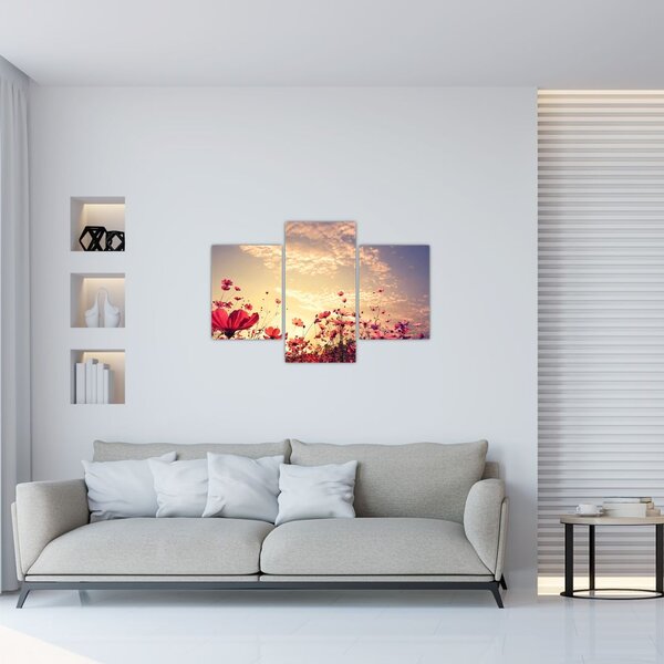 Obraz - Lúka s kvetmi (90x60 cm)