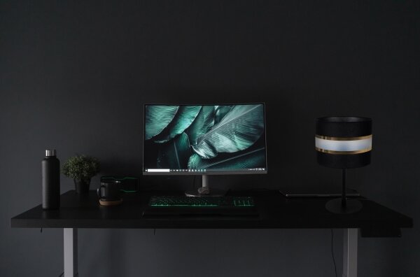 Stolná lampa CORAL 1xE27/60W/230V čierna