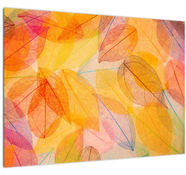 Obraz - Pozadie z jesenného lístia (70x50 cm)