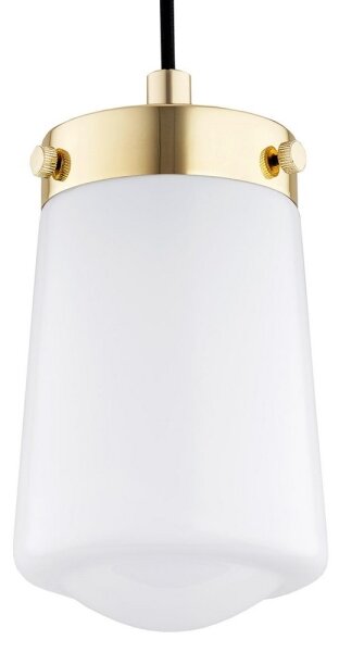 Argon 8004 - Luster na lanku PASADENA 1xE27/15W/230V zlatá/biela