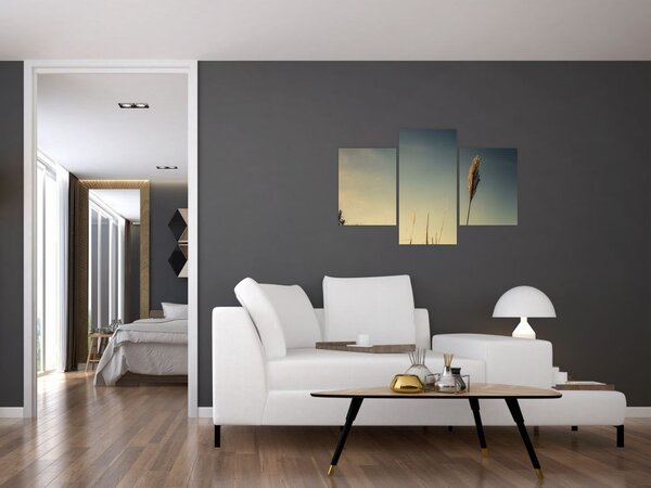 Obraz s trávou (90x60 cm)