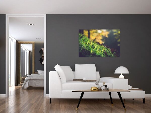 Obraz machu s hubou (90x60 cm)