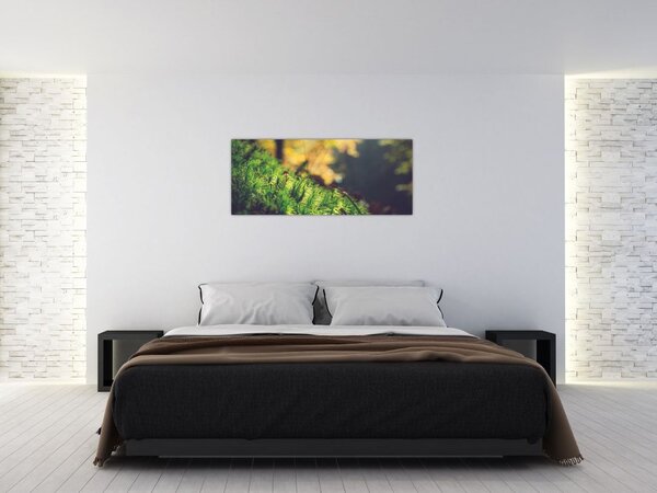 Obraz machu s hubou (120x50 cm)
