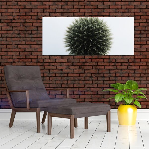 Obraz kvetinové gule (120x50 cm)