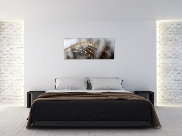 Obraz kvapiek na rastline (120x50 cm)