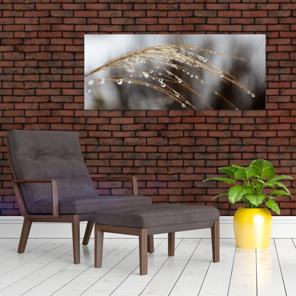 Obraz kvapiek na rastline (120x50 cm)
