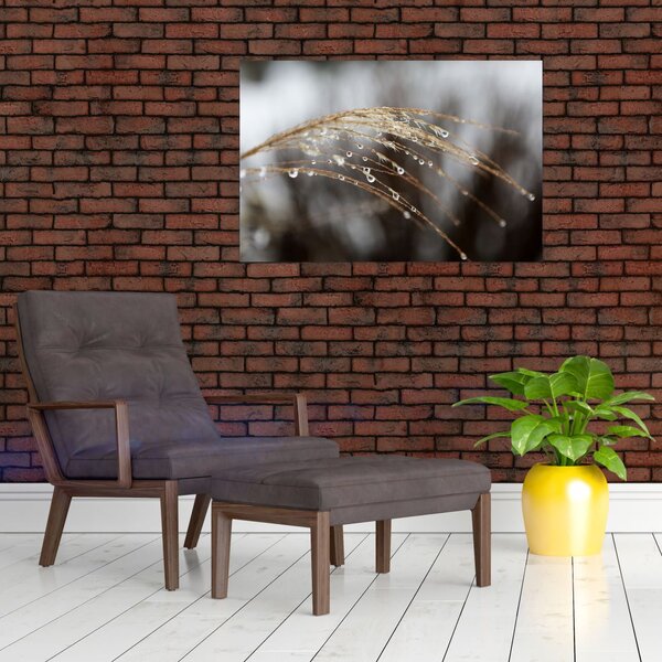 Obraz kvapiek na rastline (90x60 cm)