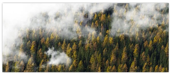 Obraz lesa v mrakoch (120x50 cm)