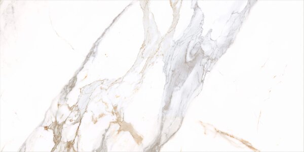 Medici Gold Natural 60x120 R