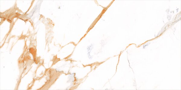 Medici Gold Natural 60x120 R