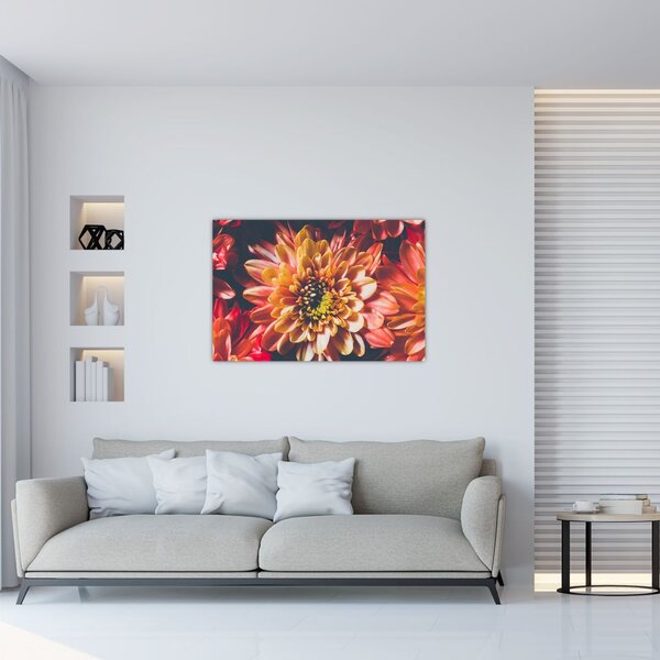 Obraz - Chryzantémy (90x60 cm)