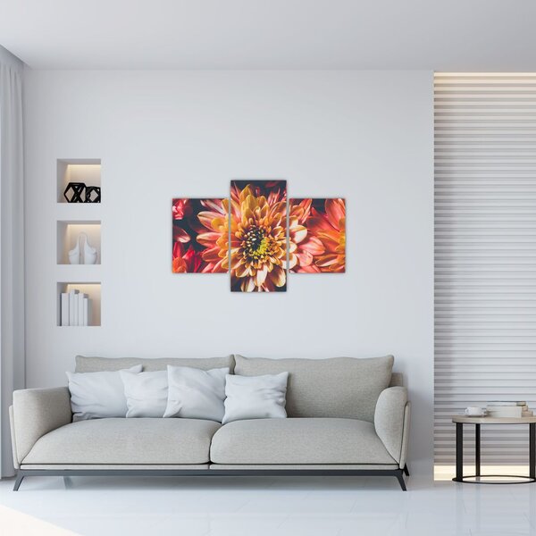 Obraz - Chryzantémy (90x60 cm)