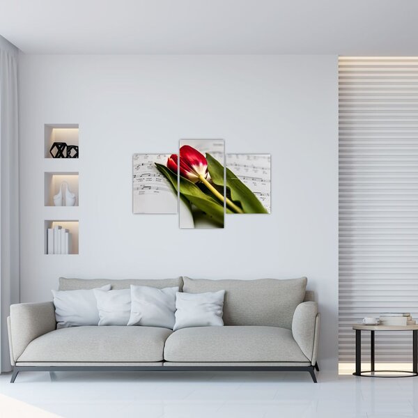 Obraz červeného tulipánu (90x60 cm)