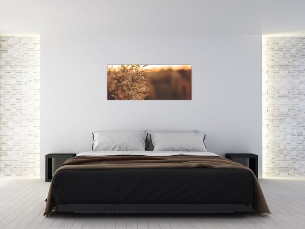 Obraz kvitnúcej trávy (120x50 cm)