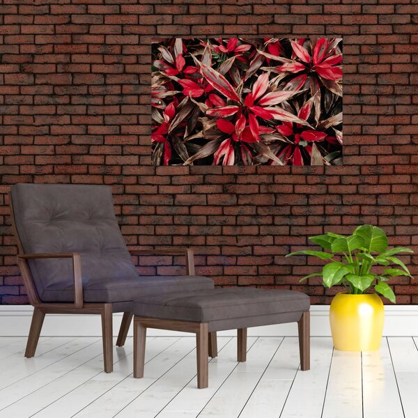 Obraz červených okvetných lístkov (90x60 cm)