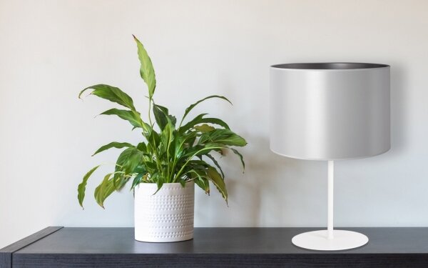 Duolla - Stolná lampa CANNES 1xE14/15W/230V pr. 20 cm strieborná/biela