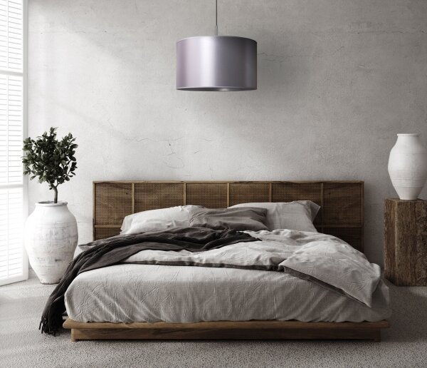 Duolla - Luster na lanku CANNES 1xE27/15W/230V pr. 45 cm strieborná