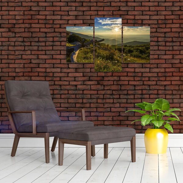 Obraz - Výhľad do okolia (90x60 cm)