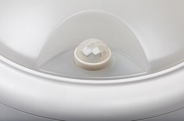 Rabalux 77029 - LED Vonkajšie nástenné svietidlo so senzorom LED/15W/230V IP54