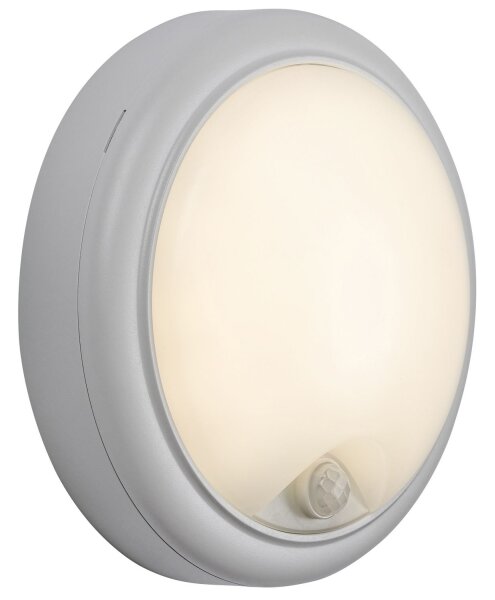 Rabalux 77029 - LED Vonkajšie nástenné svietidlo so senzorom LED/15W/230V IP54
