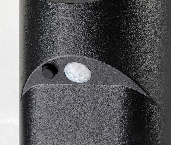 Rabalux 77013 - LED Solárne svietidlo so senzorom SEPIK LED/3,6W/3,7V IP44