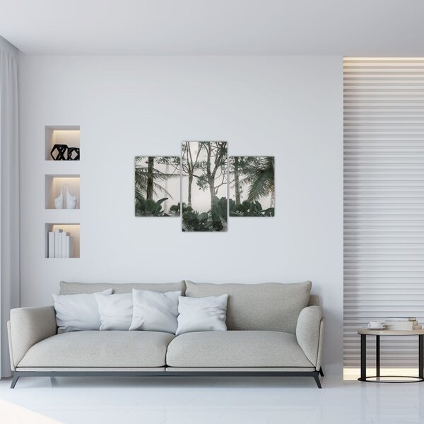 Obraz - Jungle v rannej hmle (90x60 cm)