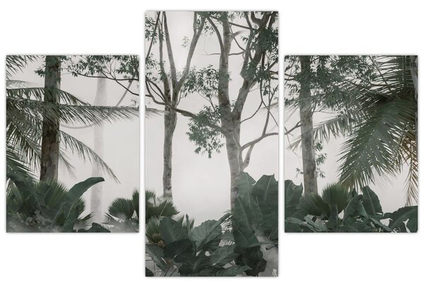 Obraz - Jungle v rannej hmle (90x60 cm)