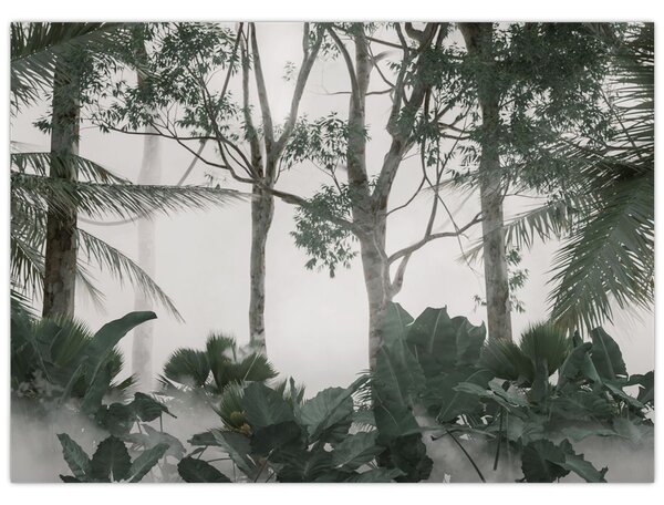 Obraz - Jungle v rannej hmle (70x50 cm)