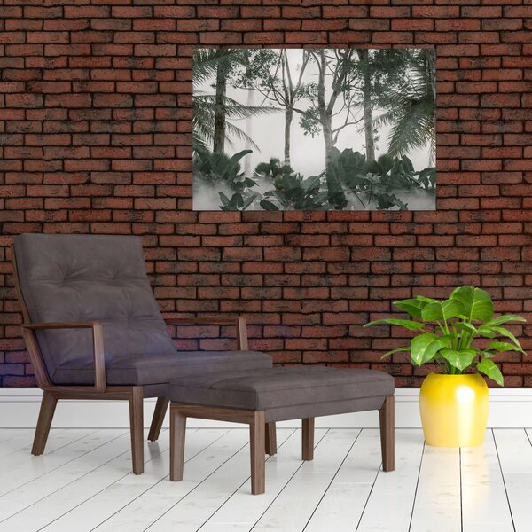 Obraz - Jungle v rannej hmle (90x60 cm)