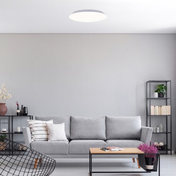 Rabalux 71124 - LED stropné svietidlo RORIK LED/24W/230V 4000K 38 cm