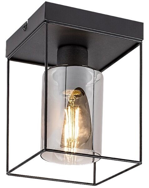 Rabalux 71031 - Stropné svietidlo CHADWICK 1xE27/25W/230V