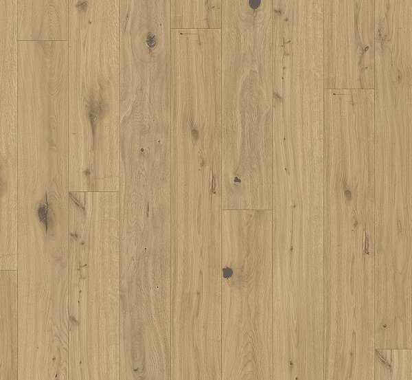 PARADOR Trendtime 8 Dub kalahari biely 1751302 - 3.66 m2