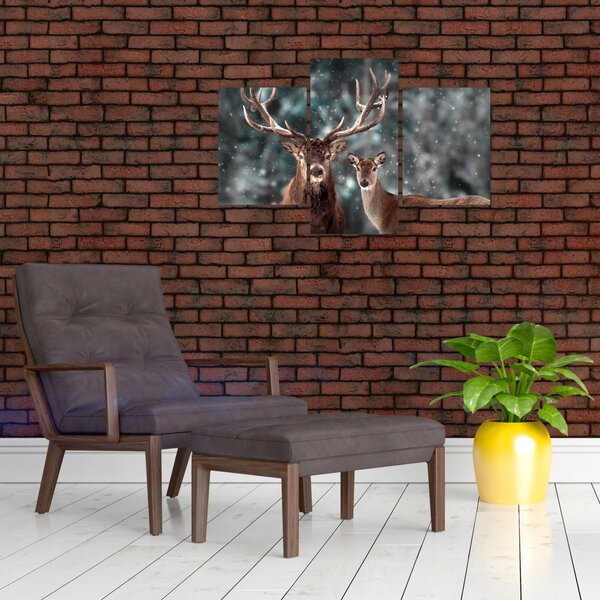 Obraz - Jeleň a laň v zasneženom lese (90x60 cm)