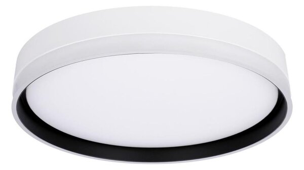 LED Stropné svietidlo FLORIDA LED/24W/230V biela
