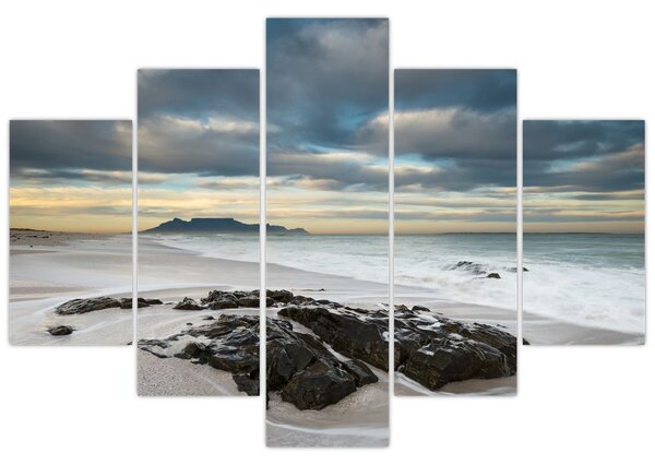 Obraz - Robben Island (150x105 cm)