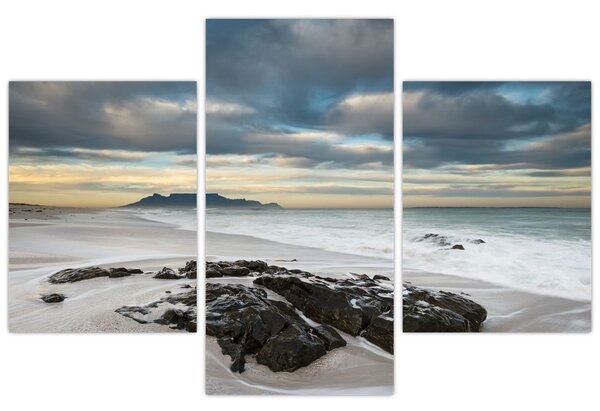 Obraz - Robben Island (90x60 cm)