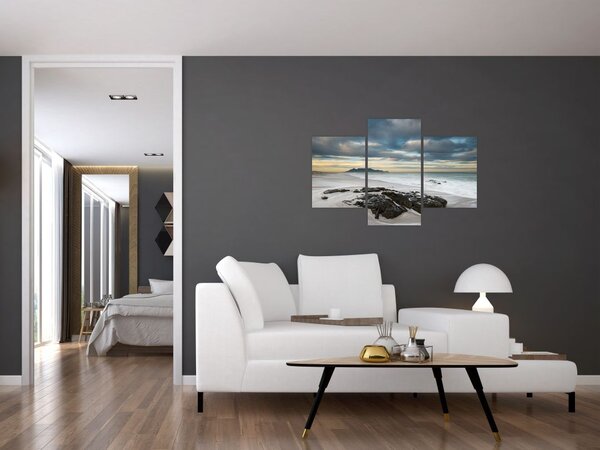 Obraz - Robben Island (90x60 cm)