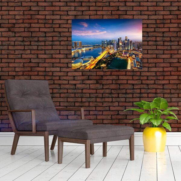 Obraz - Singapur, Ázia (70x50 cm)
