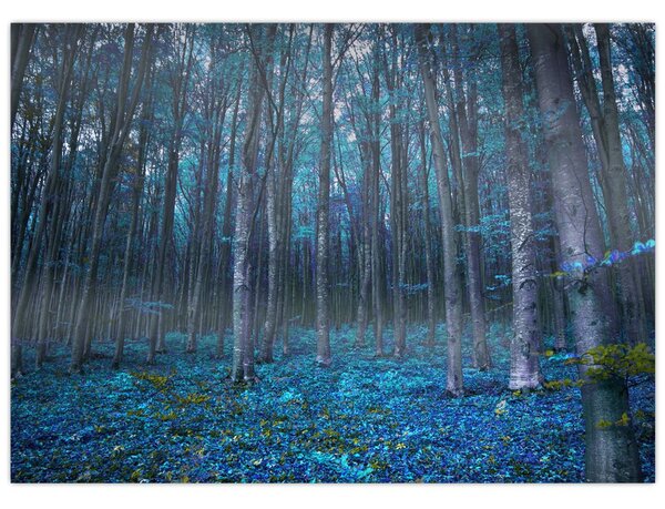 Obraz - Magický les (70x50 cm)