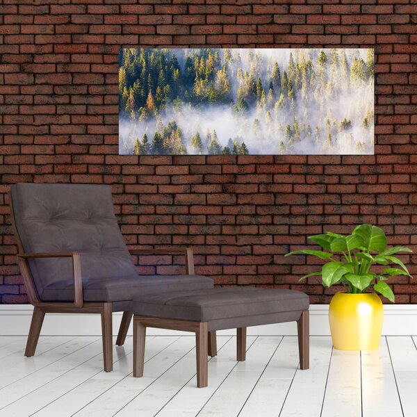 Obraz stromov v hmle (120x50 cm)