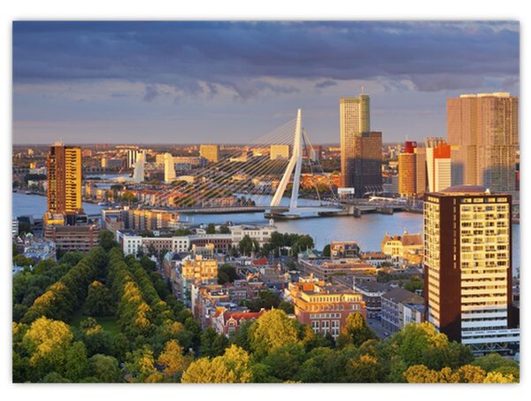 Obraz - Panorama Rotterdamu, Holandsko (70x50 cm)