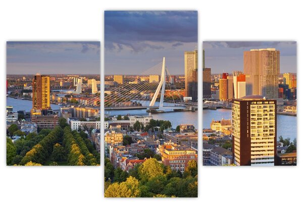 Obraz - Panorama Rotterdamu, Holandsko (90x60 cm)