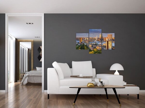 Obraz - Panorama Rotterdamu, Holandsko (90x60 cm)