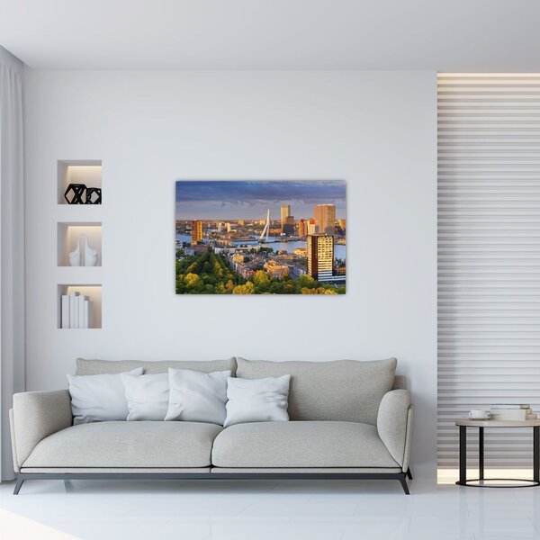 Obraz - Panorama Rotterdamu, Holandsko (90x60 cm)