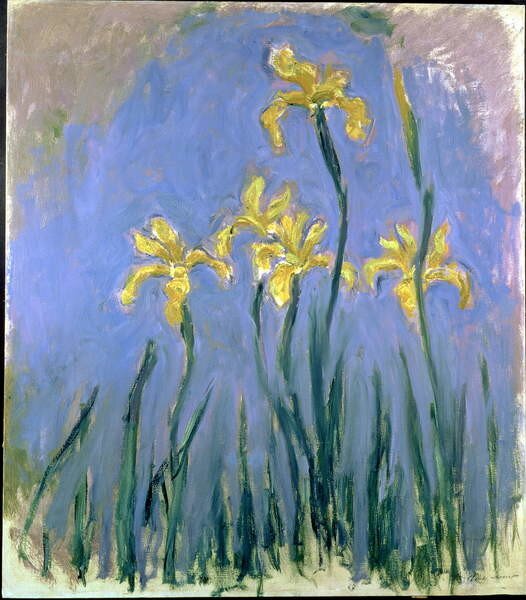 Monet, Claude - Umelecká tlač Yellow Irises; Les Iris Jaunes, c.1918-1925, (35 x 40 cm)