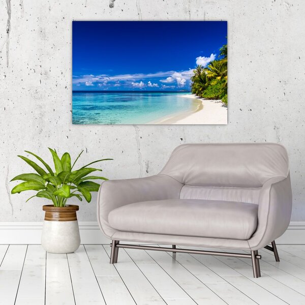 Obraz tropickej pláže (90x60 cm)