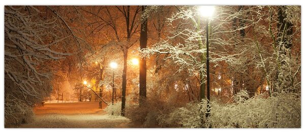 Obraz - Zasnežený park (120x50 cm)